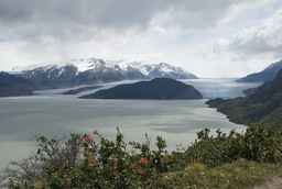 Grey Gletscher und Lago Grey
