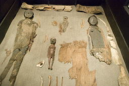 Mumien im Museo Arquelogico