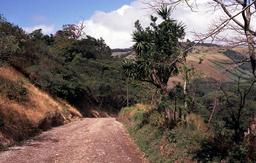 Straße nach Monteverde