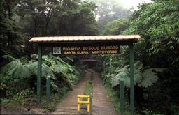 Santa Elena Reserve