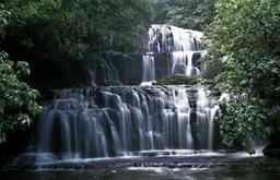 Pukanaui
 Falls