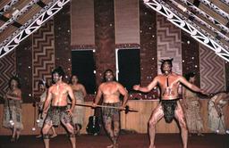 Maori Concert